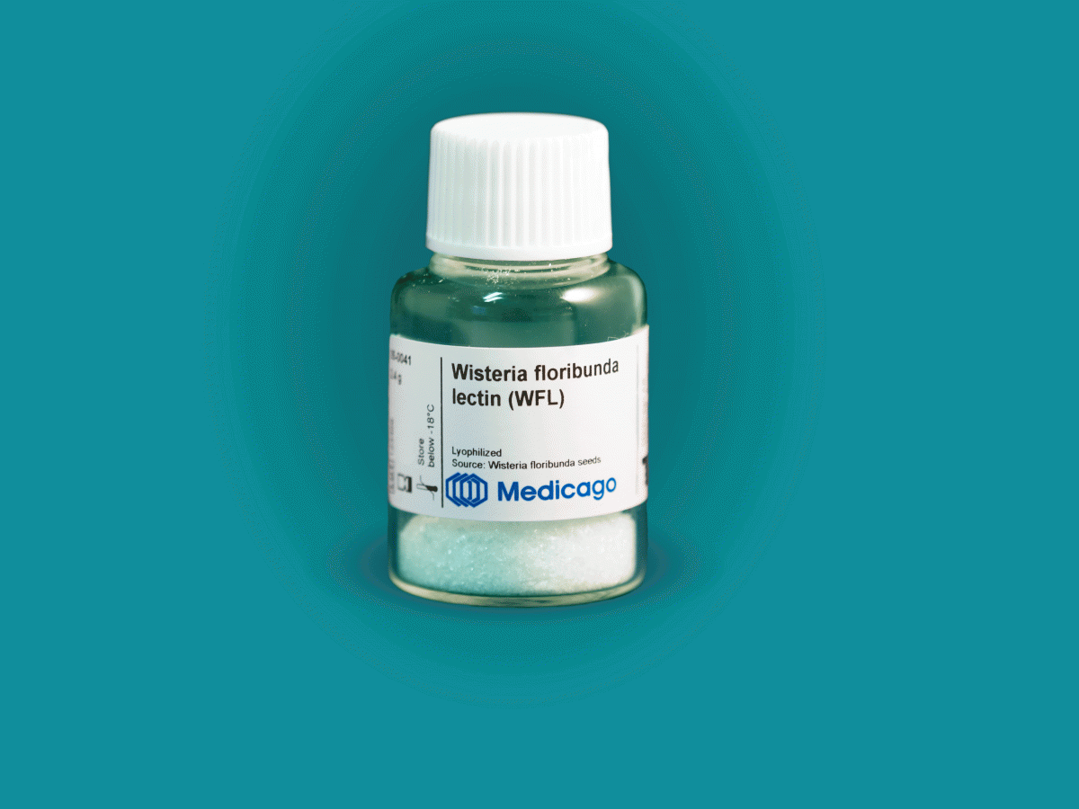 WFL Product-depiction